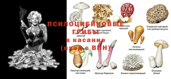 прущие крисы Богородицк